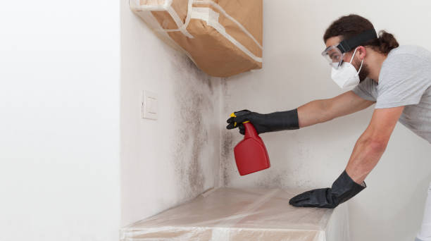 Professional Bathroom Mold Removal technician working in Chester, MD